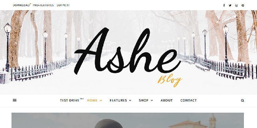 ashe-free-wordpress-theme