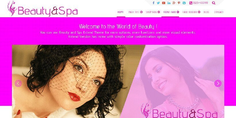 beauty&spa free beauty wordpress themes