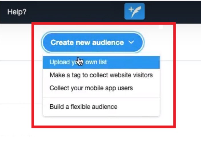 create a Tailored Audience