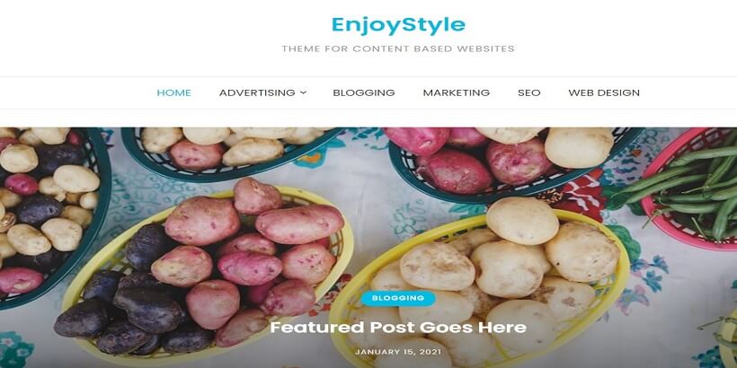 EnjoyStyle-Best-Free-WordPress-Themes-for-Content-Creators