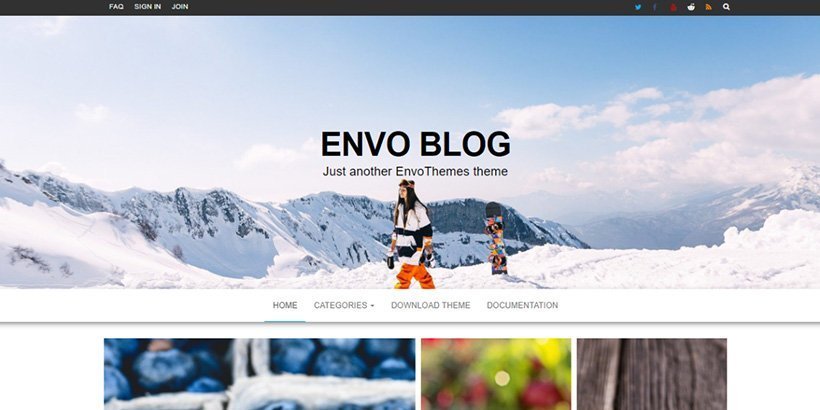 envo free wordpress blog themes