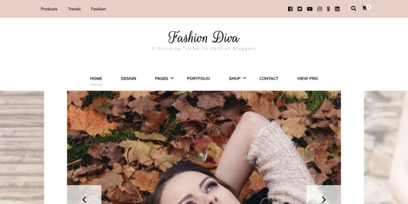 Fashion-Diva-WordPress-Theme