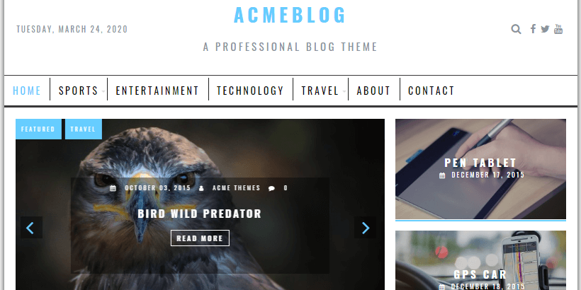 acmeblog-free-wordpress-theme-for-writers-and-authors