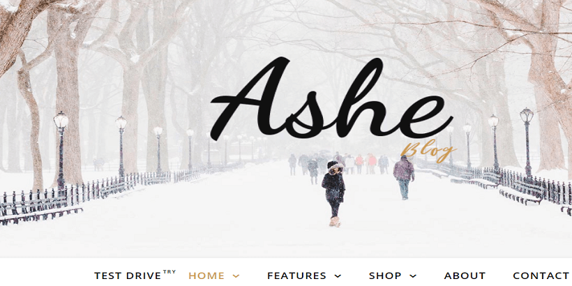 Ashe-Best-free-Fullscreen-themes