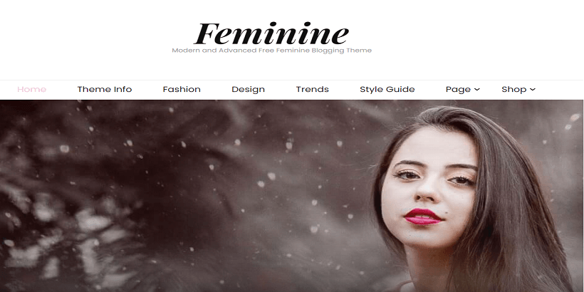 Blossom-Feminine- Best-WordPress-theme-for-fashion-blogs