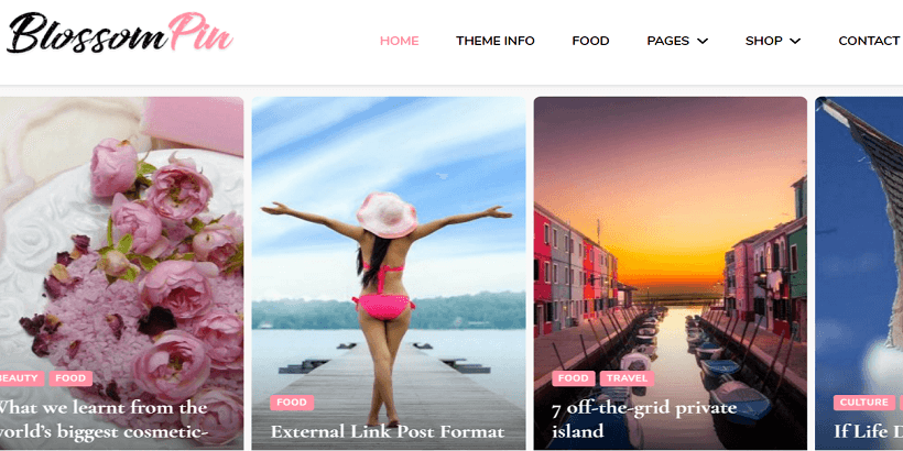 Blossom-Pin-Best-WordPress-theme-for-fashion-blogs