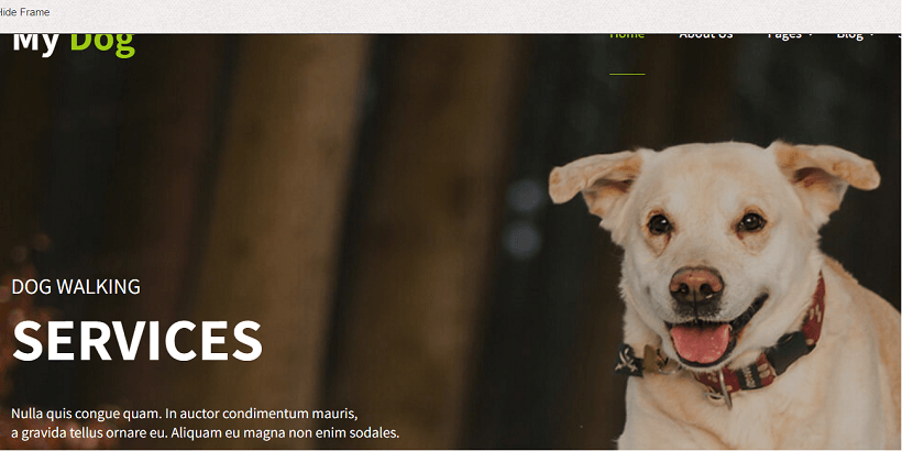 My-Dog-Lite-Best-WordPress-theme-for-pet-and-animal-blog