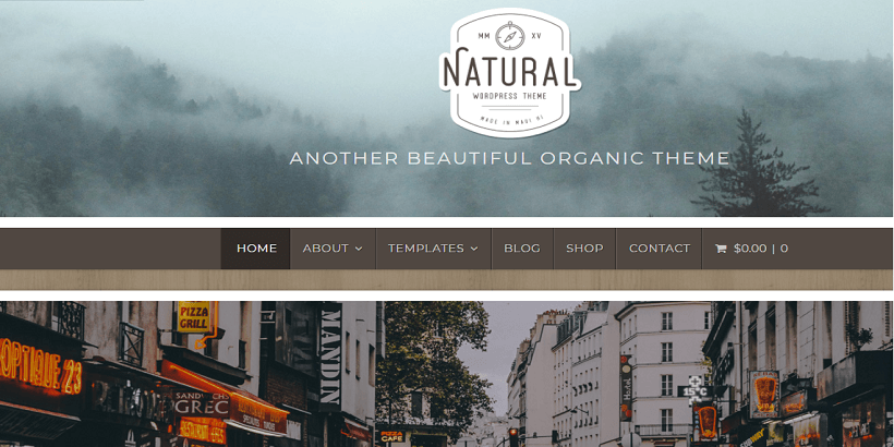 Natural-Lite-best-wordpress-themes-for-gardening-and-landscaping-businesses