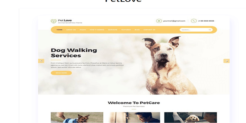Petlove-best-wordpress-theme-for-pet-and-animal-blog